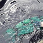 藍染体験_03 : 井戸水で洗います　まだこの時は緑色ですね